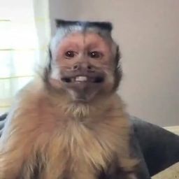 Coin image for 3BunzYJcCs3nBCYAhkreypsHZSAMQcPbbEi4z6Nxpump
