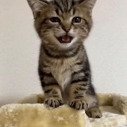 @SmiLe