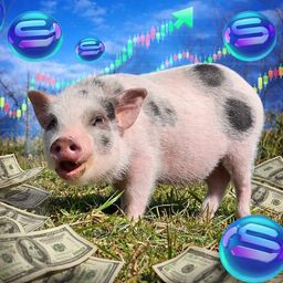 Coin image for 3DWGjWPCRLbopCfPjEo5UoeiXa8xLmUJSzxFf355pump