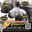 Coin image for 3DpjdDhQXb92DwbxSY6uyWsGTzTtVR2vwLAaqPNYpump