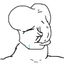 Coin image for 3E8D2bDfBACNFWr3u4Nxmyq4WTkya86RpLND3nU5V51c