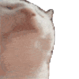 Coin image for 3FCv2GR7anAngoY28squJ5MjX69pmftMaMghGjmDnLEe