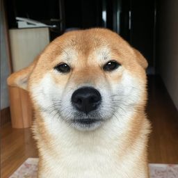 Coin image for 3FDHFQpSCfUGKCSydd3zRHH3Qe1BzPHjHPS99M2cpump