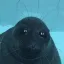 Coin image for 3FayrE1WVmePAvsHrXCdqM7u77JEmmuQT3ZPrvZPpump