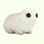 Coin image for 3Fq8QwtzxpY7Mmajmq2ZpayXrmxXoPS9Fi5QLsmeaNNX