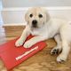 Coin image for 3HXYHzD39ZwMZPcgpyioiwD9hjEWbDwUqovnqhFkUBUs