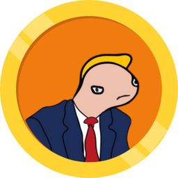 Coin image for 3JJfxfMxAnGX7HTPdWjo3YEjcHfaEFyDJmFN5sh7pump
