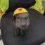 Coin image for 3JhNxiz5ewYVxGyAFXV6trYHcdUh6XcgJZQ6jC98oQai