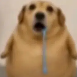 Coin image for 3KmTohyUxXGhJrezkitmCUWYPdVjgmnScCFfsGNrpump