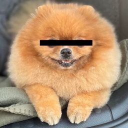 Coin image for 3M34HWUyoYbdd8RBXkGvTYHoMAsmDQQRPAiYYCqYpump