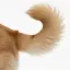 Coin image for 3MEobc9fBvKfVdqt3wZHaG1a7uKFV3i8jYi18kR8pump