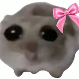 Coin image for 3MLtkLDLoHUX3XcCbJo83fSvMHT9nowCq8KrSCerpump