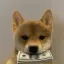 Coin image for 3MpkCvgfrza6c9kKcrjFGkn2fkdmTVWmLgi2Yzospump