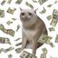 Coin image for 3PSzPnAHqjEh5uUUsXm659oRNmbHqcwZr9fQ3qCaPnG9