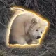 Coin image for 3PZHRPvoUCPrWYTiu4fzAfhVcnqKrssLbVq9c2pqpump