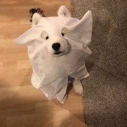 Coin image for 3VvrCc2DVbfRQJENP7TKqYFUE6EC8Xhua3iqnQY6pump