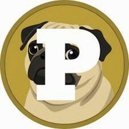 Coin image for 3XbbcsUPaC3BtkGmJC9txXFdztUmSfq7ce2Jn1Pkpump
