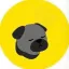 Coin image for 3Yn8DjvS8gWCK3nYe92XHHnkDFBMJvtuiJggz1qVT48T