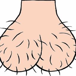 Coin image for 3YrsL9swp9w6dfR2m8fbV6Lmp3BXETTru2T384ubpump