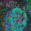 Coin image for 3ZrCdyHcCzRTGLWeaePY4XXTXPCL5oQRg3VgtBDcYmHM