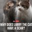 Coin image for 3aEawcq3FZxZUGao7t8nLgsvs7GtBno3S7aMefJapump