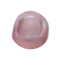 Coin image for 3aNUmBUAxwHjU6KQZPi43tBns7eSbTY6Q6BZBfcyTNqG