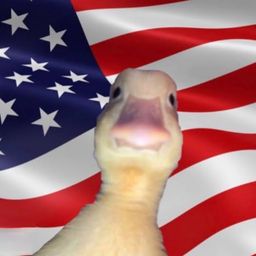 Coin image for 3anHgaDKDXuomjxxVYS9EECmciNFbZKNrdrdW81Xpump