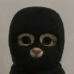 Coin image for 3b9HqmcnUb8HTmicHd6TJUF2Rm9sSLZWkbWdhfuepump