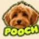 Coin image for 3b9k7PUWHjCYEtkrQup717GWxFt3JsAZzEcVJk2ypump