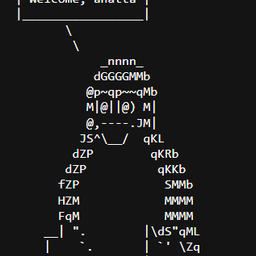 Coin image for 3bKaMpFrEj4q6J2k3DBBhekRceSBNCVNFnLC3Wpapump