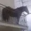 Coin image for 3cwZpSoENiV7AfYEgXpp4gHbebbdM1L95G1i6AVepump