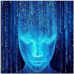 Coin image for 3dHy9uXAX3frAuPFHeNf4qJa1vNzc2Go2K6mjkMcpump