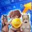 Coin image for 3ddMUwAH3rhKoHbccAW4g6AVBfQoCpvuknjiJZ3331aZ