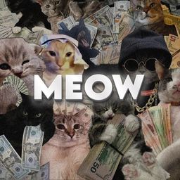 Coin image for 3dnwPkQMxtdmcSjw3LiSeeQXAVncFMzMd14WHNPepump