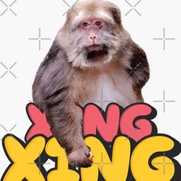 Coin image for 3eAWDMCH6AxjXe3UHKVQHssUxJAgco1um8CXhzxPaYUH