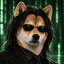 Coin image for 3eJ5nZRZxcy18LDDVhWWpCQdPj6gTd8GnAdFduqNpump