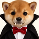 Coin image for 3eu7D1YfdJ5XnvpYxJYgFS3SWrLo1GoDVqEuRdNjjg1L
