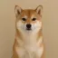 Coin image for 3gGHNpXPqBSwtb7oaVXbVE1rQp7h8RakkqBGc9QERpNA