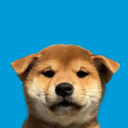 Coin image for 3hoGJL5G4nUDq1QLRCQJKFc3JEwEehHiGjVcYf2Mpump