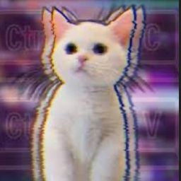 Coin image for 3iBbCbFFiy2i2d6fmRqqGFrJsVsHYLLGbCNEfGRwpump