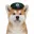 Coin image for 3jxNoqQwjbxjMYwCJxNaF6MBgQWdZAdrx5XKCHispump