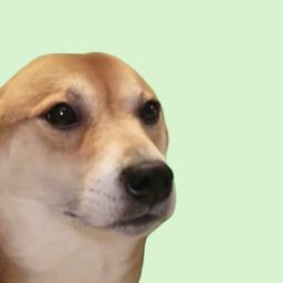 Coin image for 3k4fy9S1wNfECSWAXxAPQejYPXAZmxPRyQ7w4qGwpump
