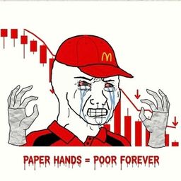 Coin image for 3k5L8vV7FfXqCySAnLiFPLigiSYH5zo5WSZ9cFNwpump