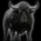Coin image for 3ki7ANWLf8d5j7rrdvopcGJiYhRTFhQRfWr53Z3ipump
