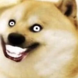 Coin image for 3kjFU9tF7ZiyhBbG7nGab3PSXjah5kfnKaFZRQN9pump