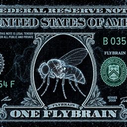 Coin image for 3nuqF7vE17MiWUNZxjvUKu1nZ4io3ND38EDcCGCwpump