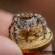 Coin image for 3o6Mdx2pwjtizvuR8WgftE4bLwha8QtGibkNDqc4NEdE