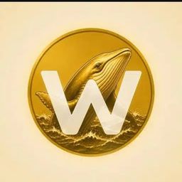 Coin image for 3o7FTP7Nimotd6ZPAtHzJUWEakyBh2Gkfz919ee4pump