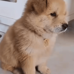 Coin image for 3pKx91vzwQJY5cHTosznG7MPbRRA5eAXbXzrWiMypump
