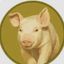 Coin image for 3pMDKon66gTBjLFNVk3FxrYnEQg6cfE2PJSDtH2Gpump